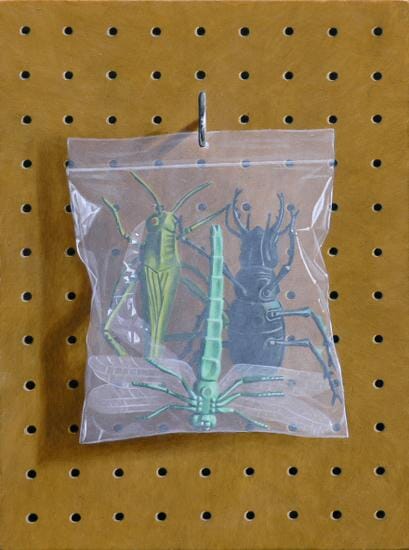 
Insect bag
