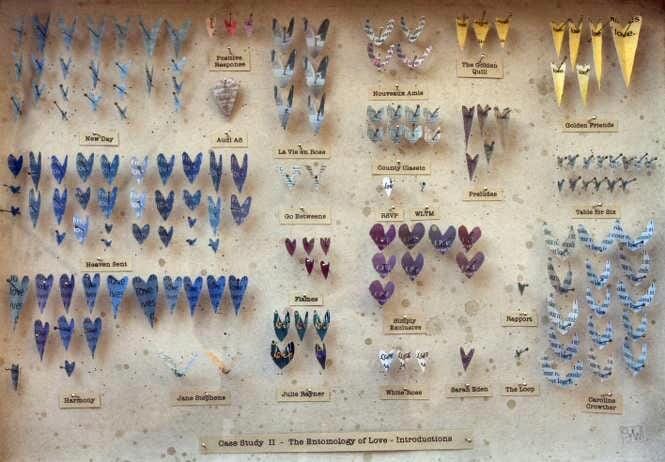 
Case Study 2: The Entomology of Love - Introductions