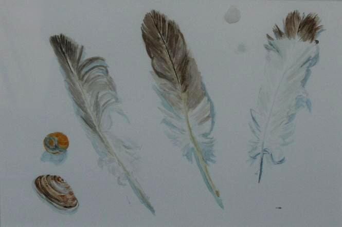 
Feathers and shells 2