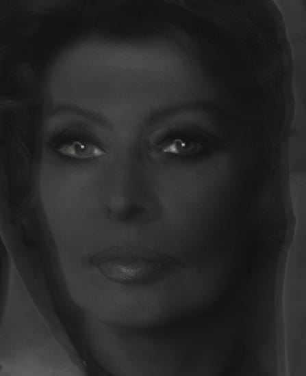
Sophia Loren