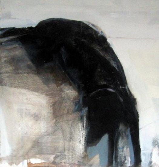 
Black dog
