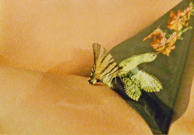 
Butterfly and bikini