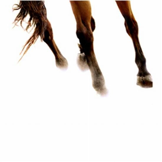 
Thundering hooves