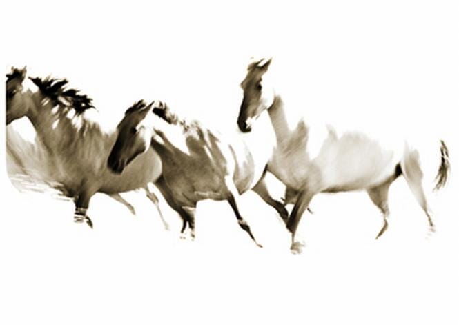 
Poetry in motion