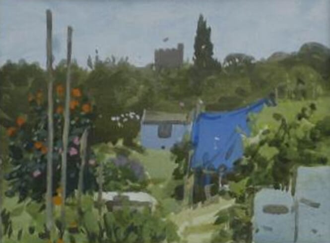 
Summer morning