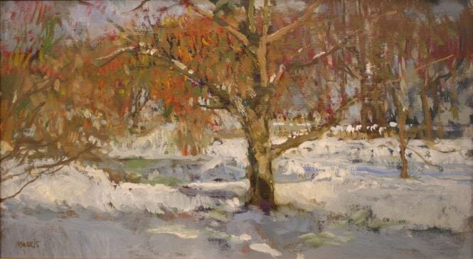 
Garden in winter