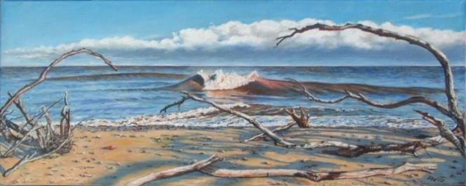 
Driftwood at Benacre