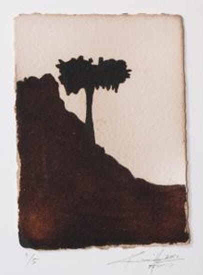 Untitled - Giotto's Tree
