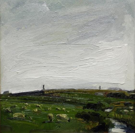 
Sheep
