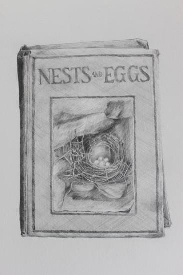 
Nests and eggs 2010