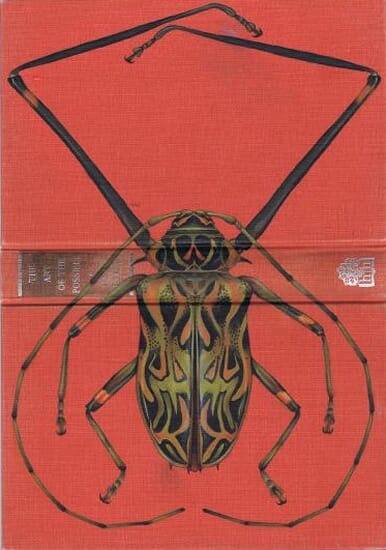 
Harlequin Beetle