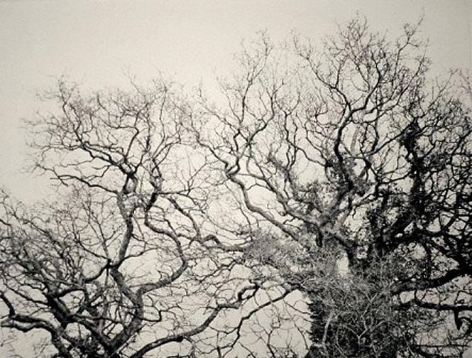 
Entwined