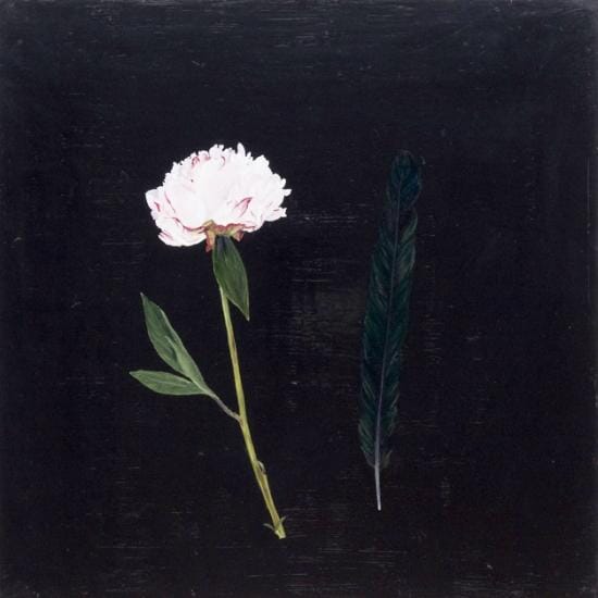 
Peony feather