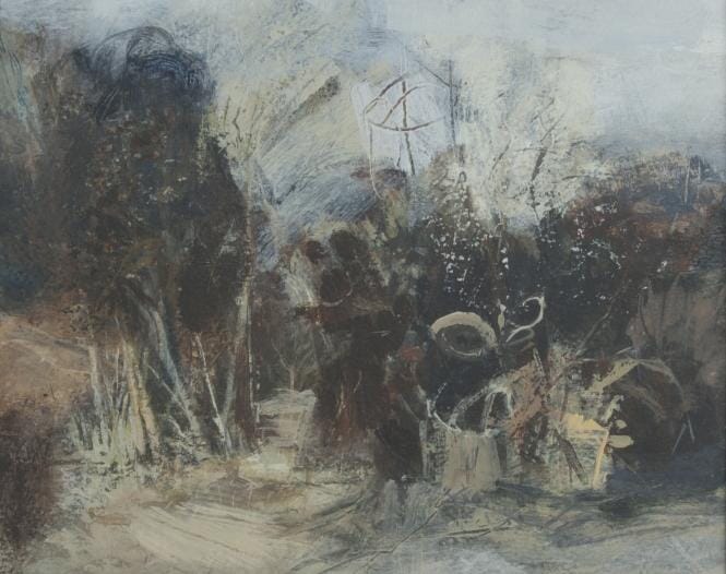 
Garden in winter