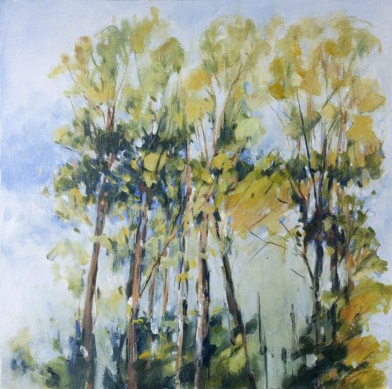 
Trees Berthegon
