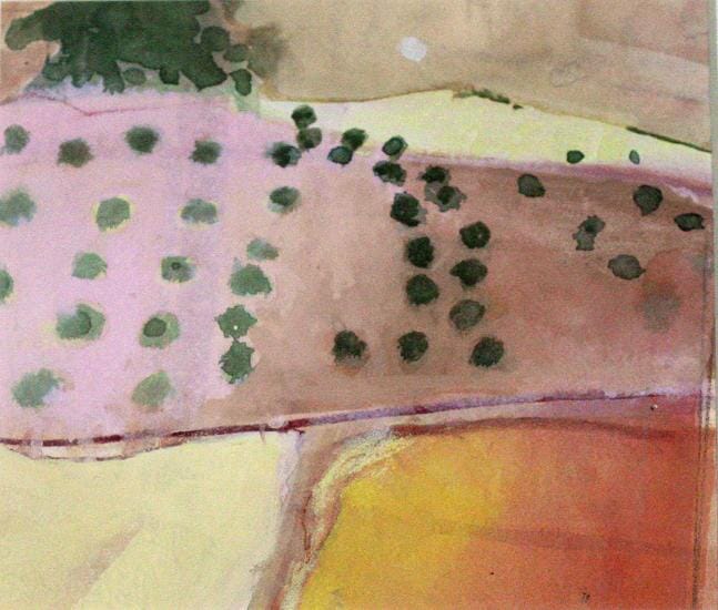 
Olive grove pink field
