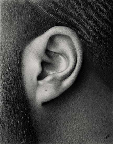 
Identity series - Ear