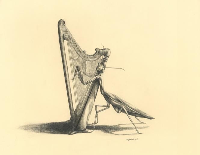 Praying mantis and harp