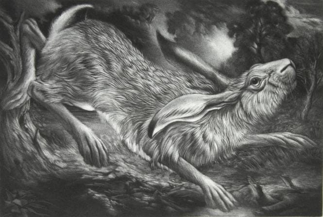 Spring - The leaping hare