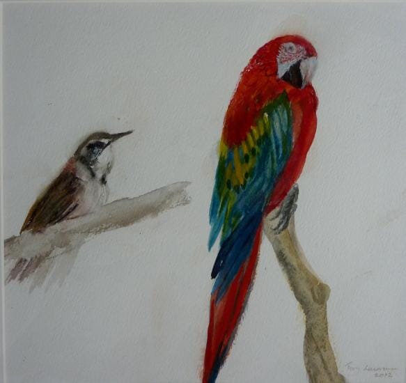 Green winged macau and songbird