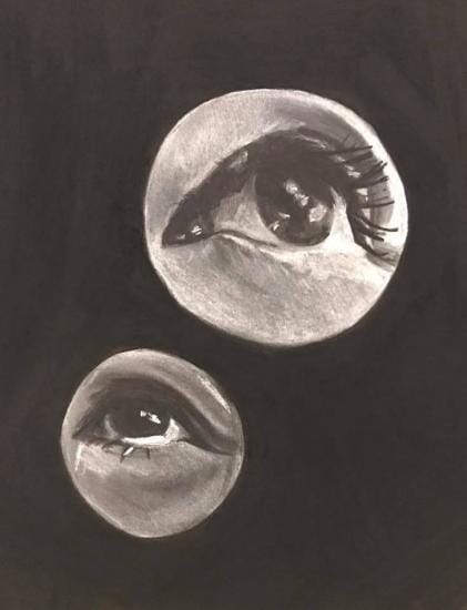 Birds eyes