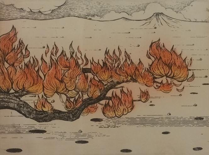 Trees of Flame (Atacama impression)