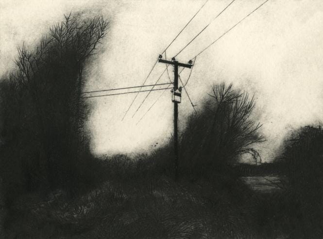 Between and Under the Trees (Hiding a Distant Past)