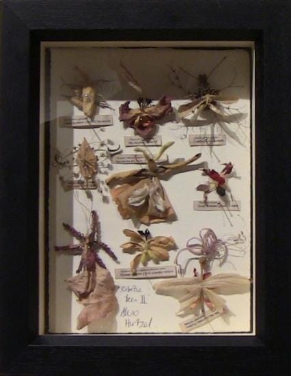 Robotic bees II - English version