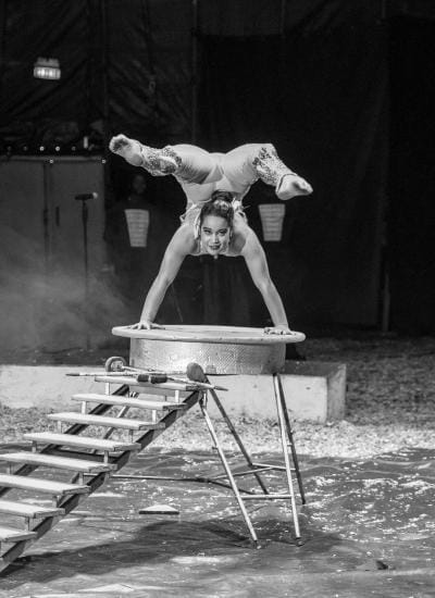 Zippos Circus - Mely Hand-balancer