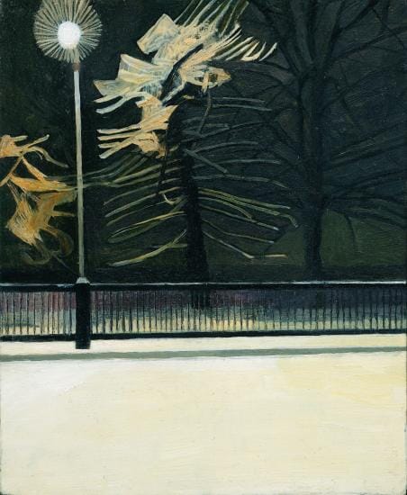 Snow Bright Light