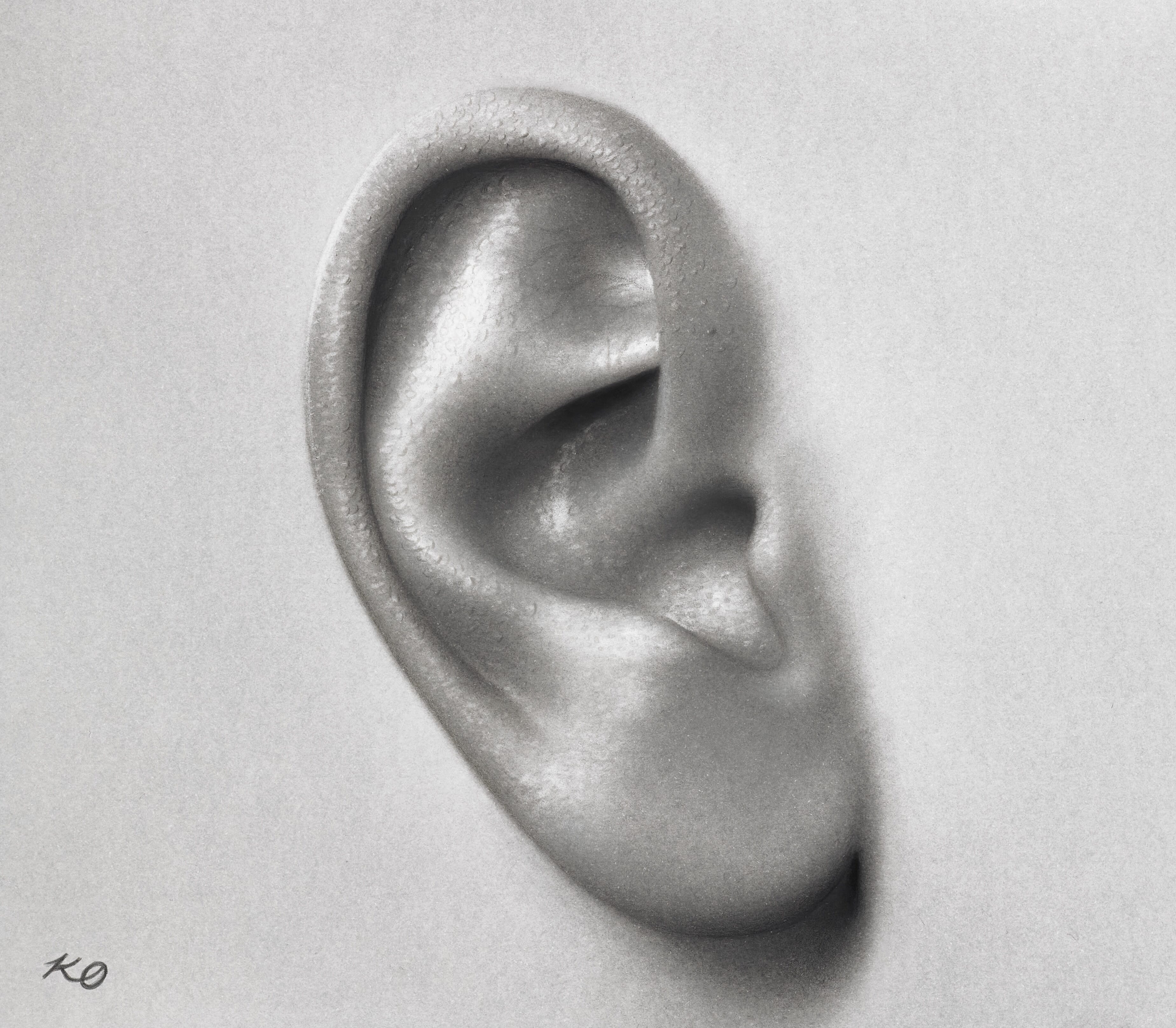  Ear Study