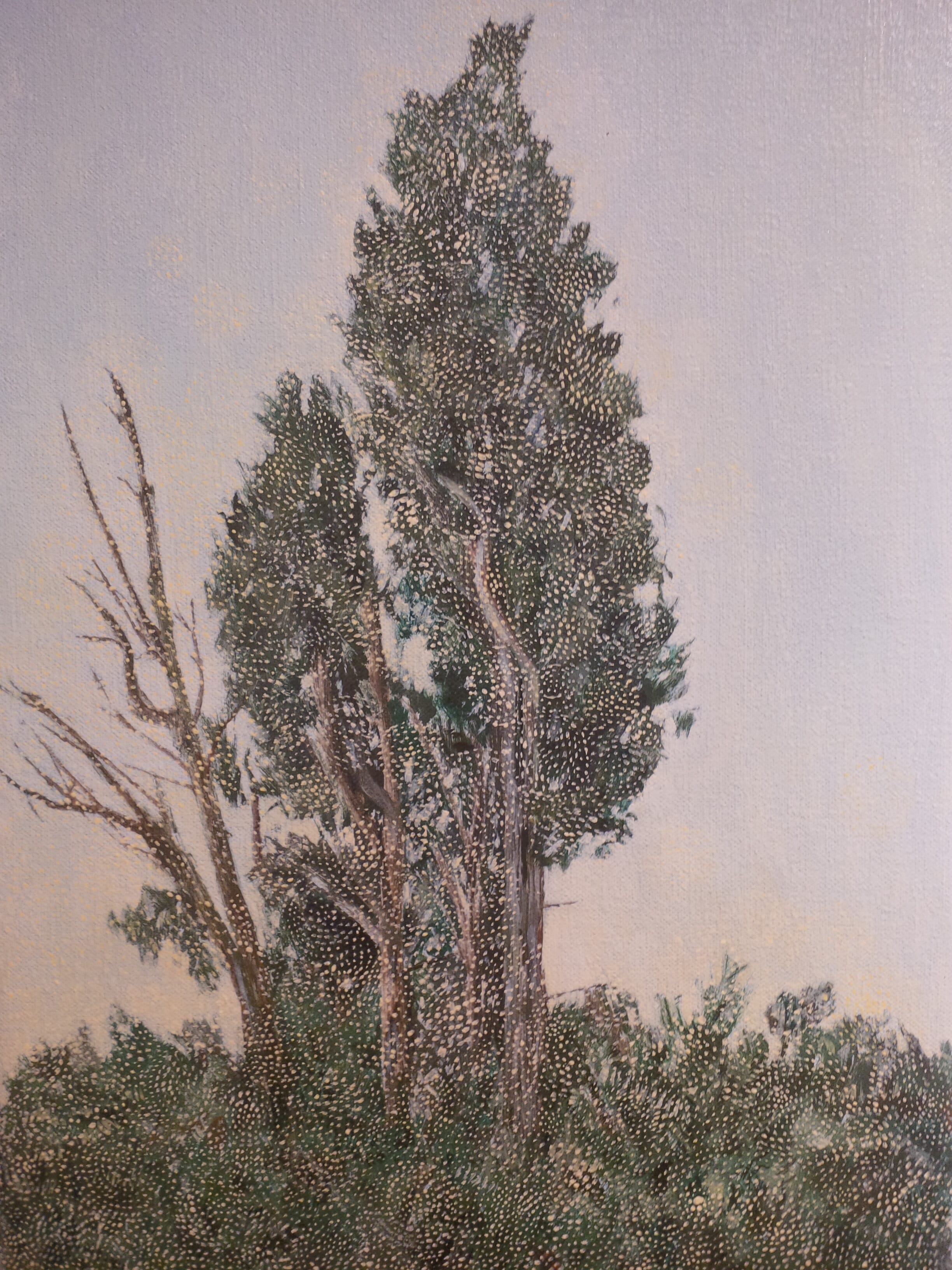  Cypress, St Remy