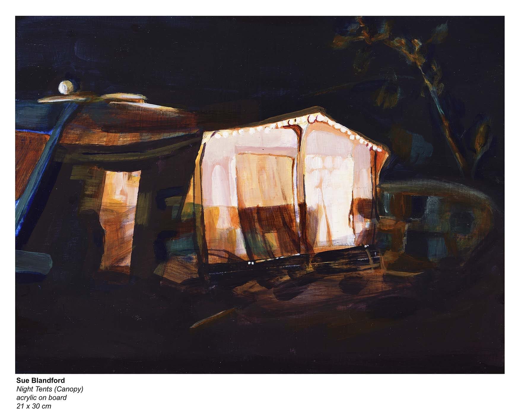  Night Tents (Canopy)