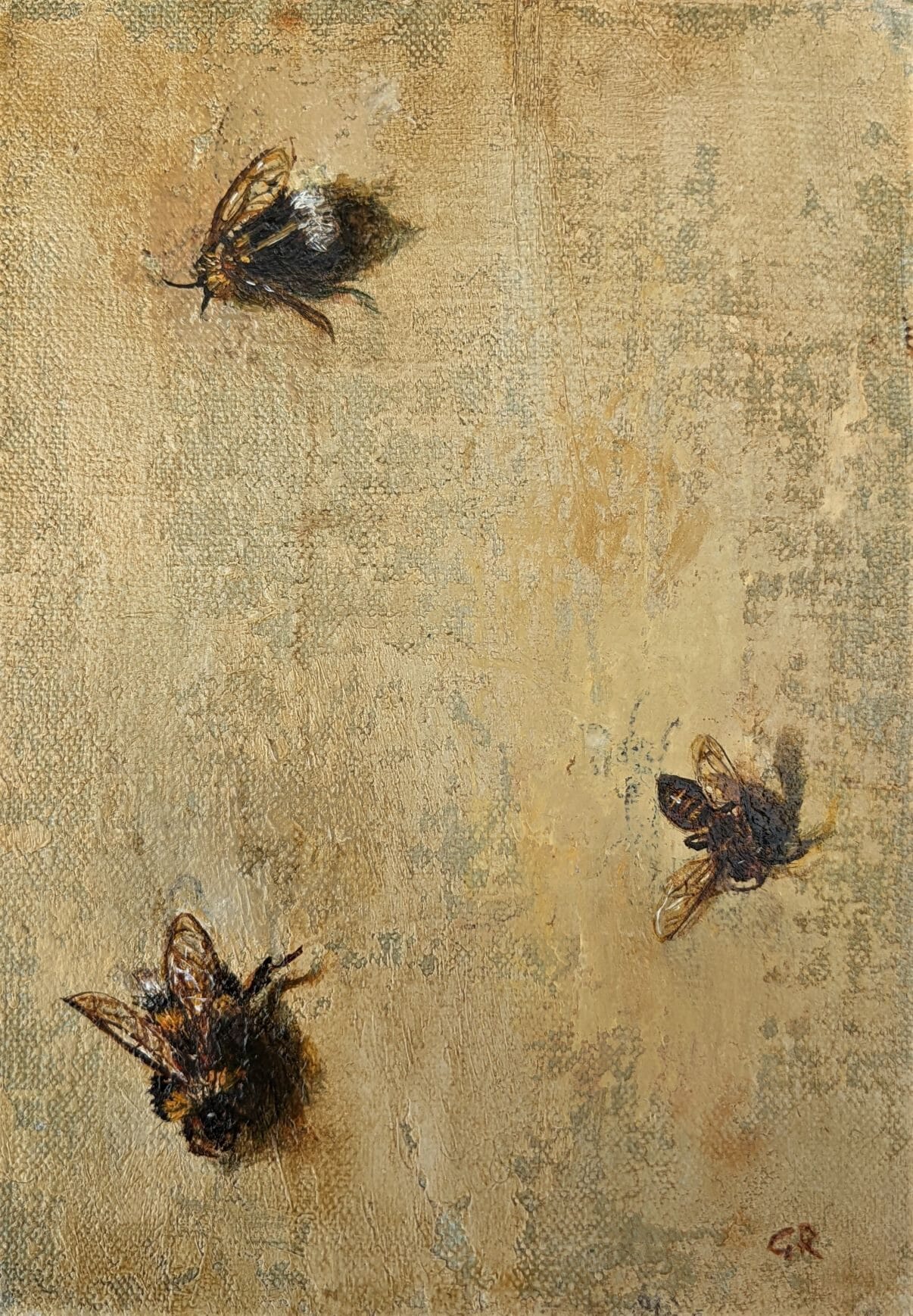 The Visitors I