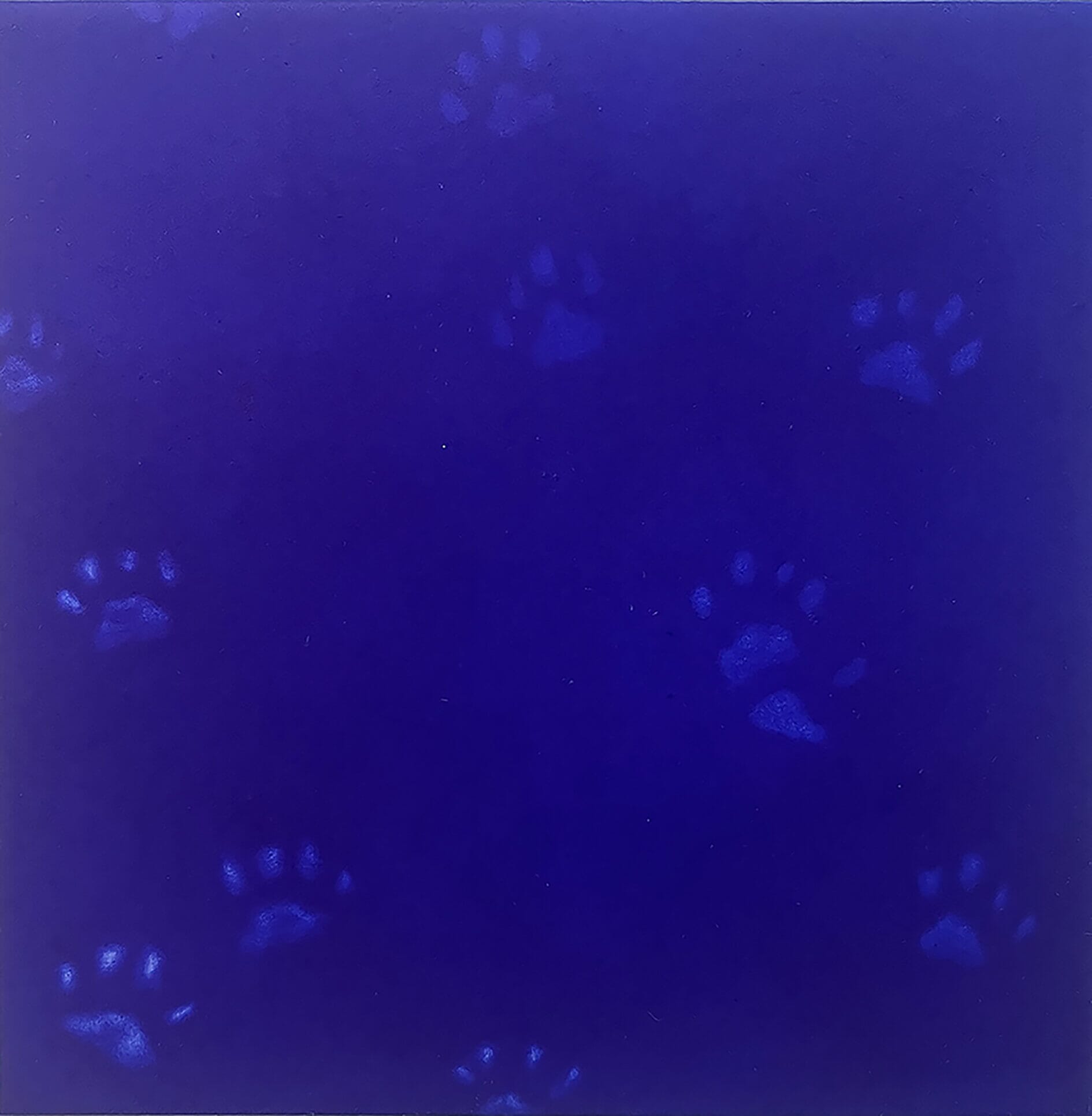 Yves Klein's cats
