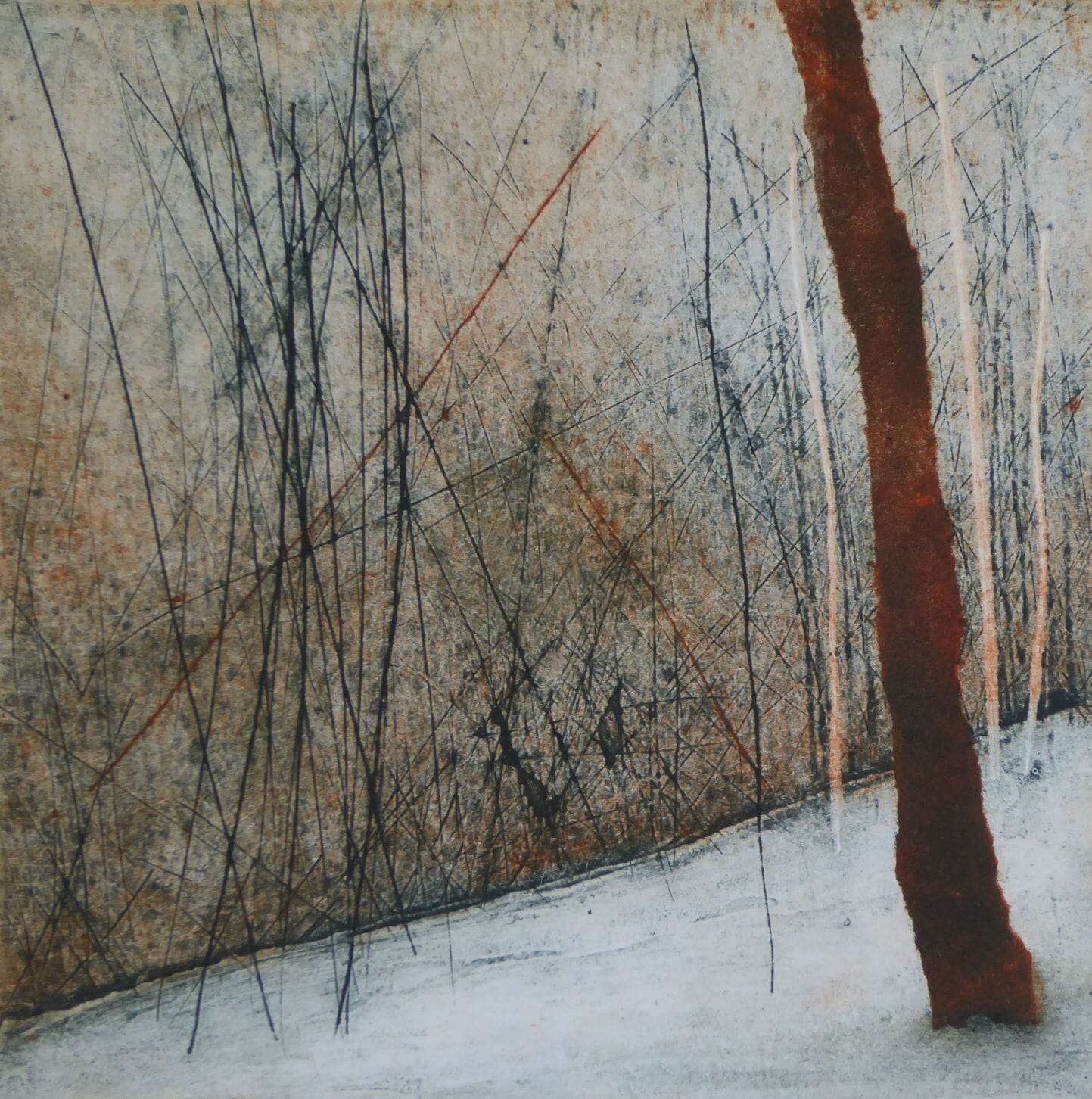 Persimmon Tree II