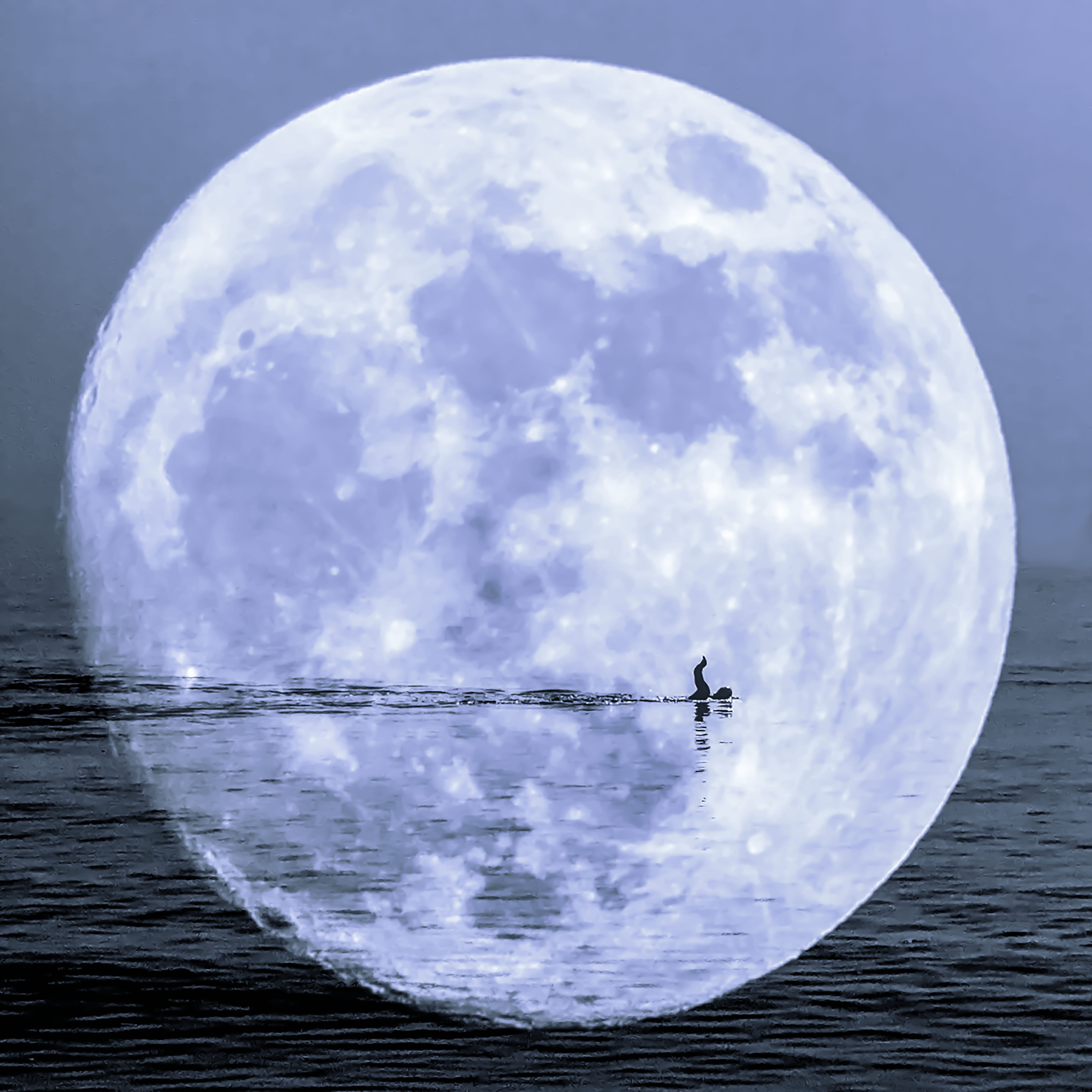 Sea of Tranquility
