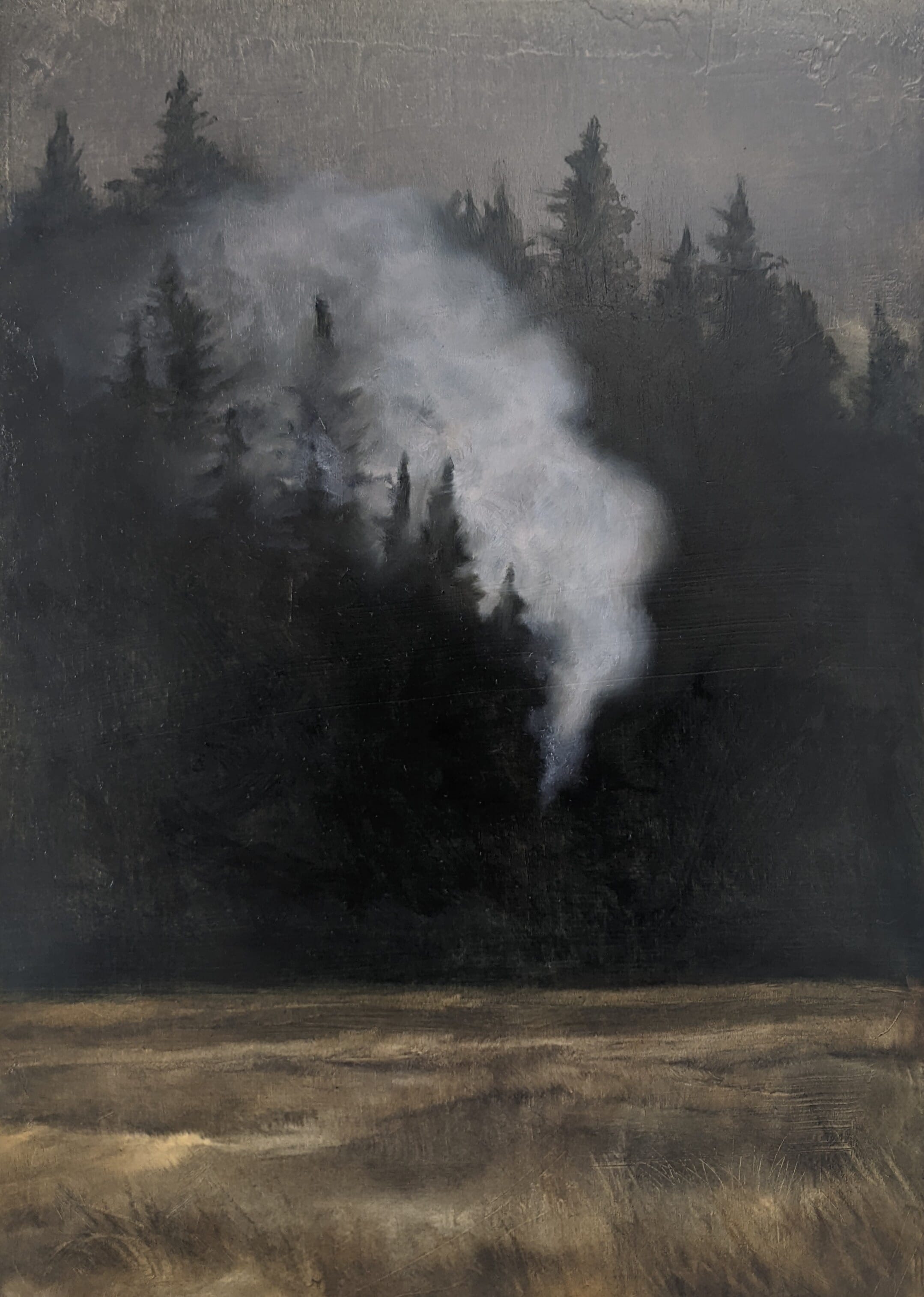  A View of The Forest at Dusk, With Rising Smoke