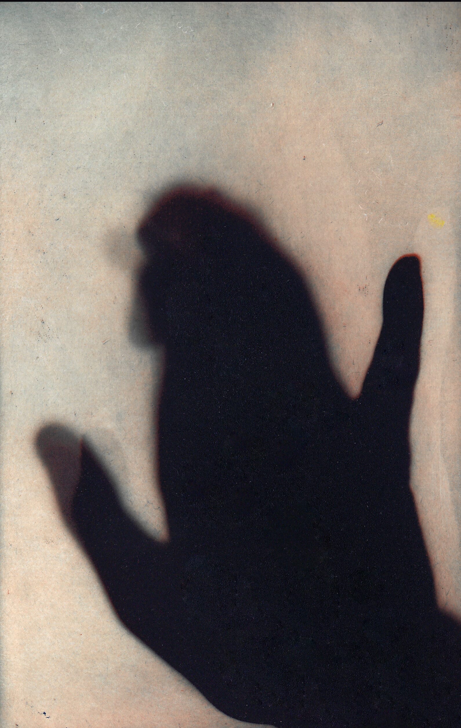 Shadow I