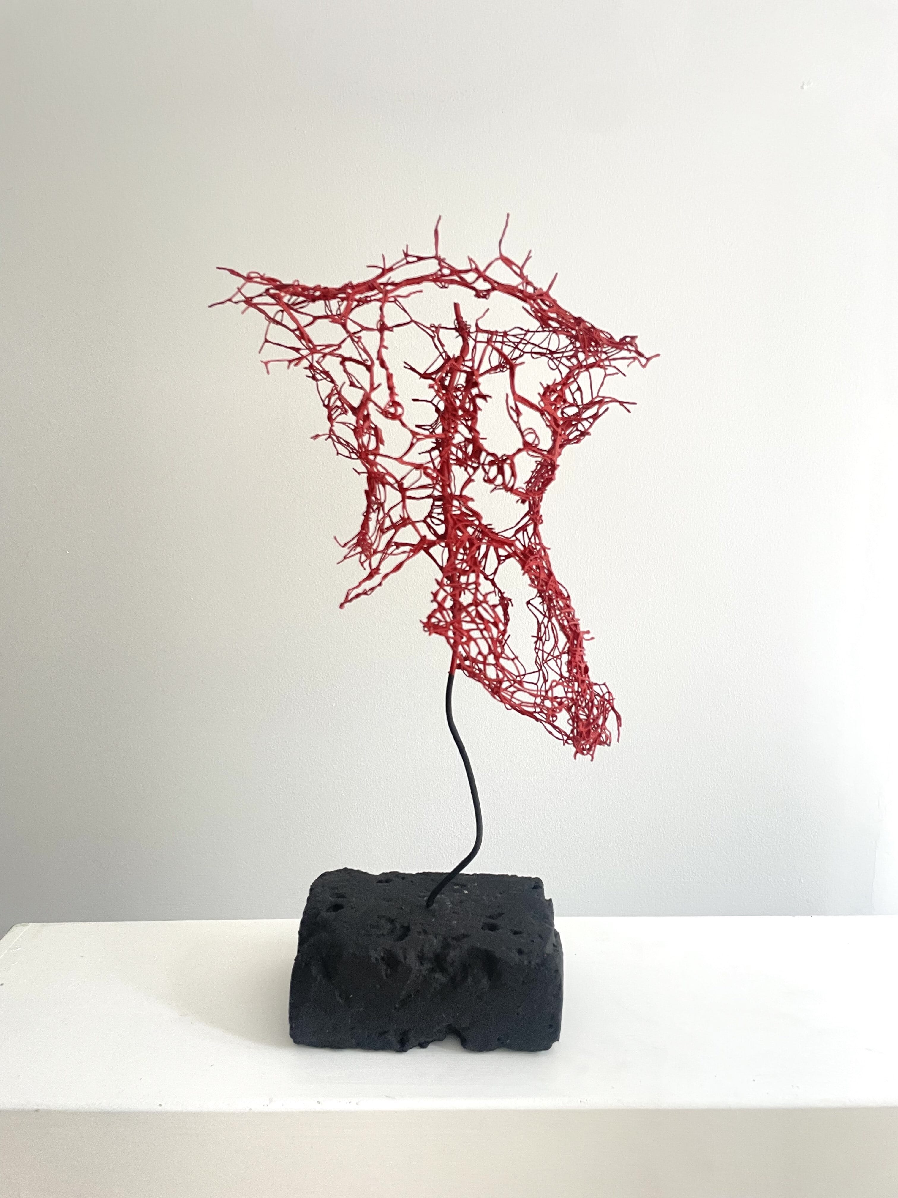  Body of Thorns